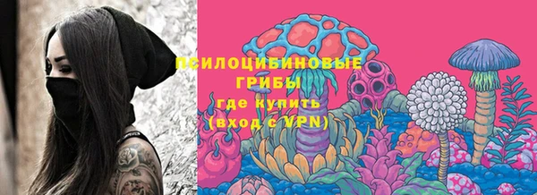 apvp Карталы