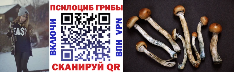 Псилоцибиновые грибы мицелий  Купить где  Берёзовский 